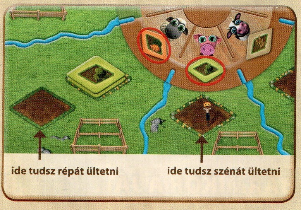 Vetés farmerama társasjátékban Azt mutatja meg a kép, mit hova lehet vetni farmerama társasjátékban.